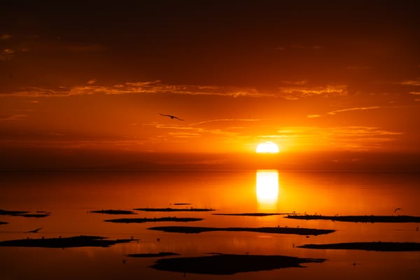 Antelope Island 2026